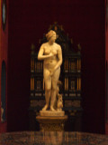 The Venus de Medici