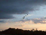 Travelers in the sky