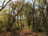 October 23rd - On the trail near Fifteen Mile Creek