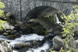 Ogwen Falls