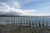 Dovey Estuary