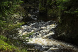 Ystwyth Gorge