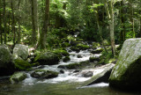 Cosby Creek GSMNP