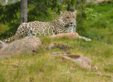 _MG_7228.jpg