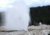 Beehive Geyser