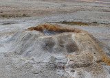 Sponge Geyser