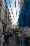 DSC03085.jpg
