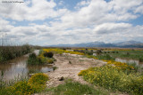 s Albufera