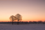 Sunrise at a cold wintermorning