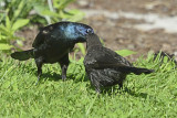 mom-and-baby-81737.jpg