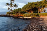 Kohala coast