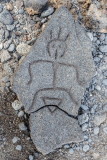 Puako / Malama Petroglyph Trail