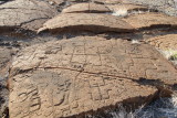 Puako / Malama Petroglyph Trail