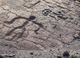Puako / Malama Petroglyph Trail