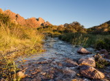 First time in 5 years Ive seen water flowing in this arroyo