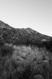 Organ Mountains, New Mexico