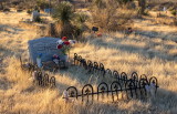 Cemetery in community of Organ, NM