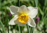 Albuquerque Botanic Garden