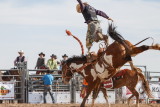 This rider was thrown upward but landed standing on the horses neck and then dropped to the ground still upright