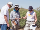 Drs. Ken Van Winkle, Fumi Arakawa, and Diane McMillan