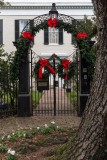 Garden District
