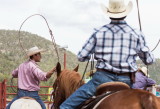 Behind the scene at the rodeo