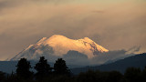 Mt Rainier