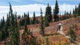 Naches Peak Trail