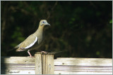 IMGP4147 -800.jpg
