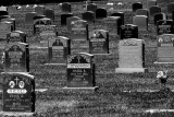 Graveyard BW.jpg