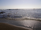 Beach Scene 1.jpg