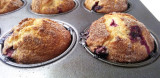 Blueberry Muffins.jpg
