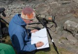 Seabird counting