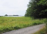 Svartlöga