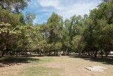 Salalah Garden