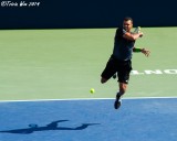 Jo Wilfred Tsonga, 2014 Rogers Cup