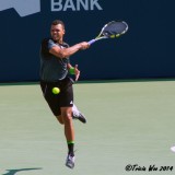 Jo Wilfred Tsonga 2