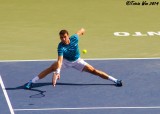 Gregor Dimitrov, 2014 Rogers Cup