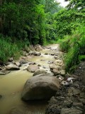 A stream along the way