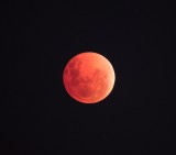 Lunar Eclipse, 15 April 2014