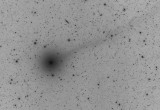 Comet Lovejoy invert.