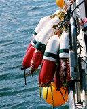 Lobster Pot Buoys