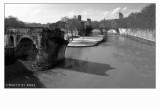 Ponte Rotto e l'Isola Tiberina