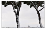 Salita al Pincio con la nevicata del tre