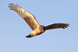 IMG_9035.JPG