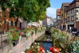 Colmar 