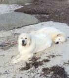 Fun on the beach