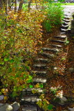 8488.Stairs<br>To River.jpg