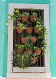 Window Garden