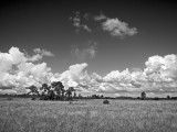 Big Cypress National Preserve & Everglades National Park